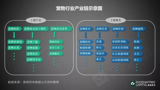 《2018 年中国宠物行业白皮书》一门千亿级的孤独生意!