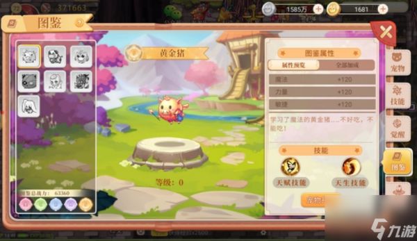 彩虹岛哪个宠物比较强 彩虹岛强力s级宠物介绍