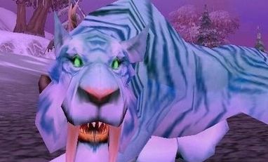 魔兽世界巫妖王之怒猎人宝宝推荐(巫妖王之怒猎人必抓五只宠物)