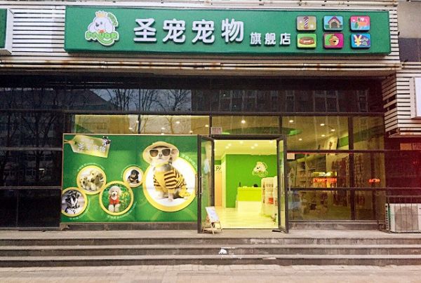 开宠物医院需要什么条件（宠物加盟店选圣宠-免费上门选址）