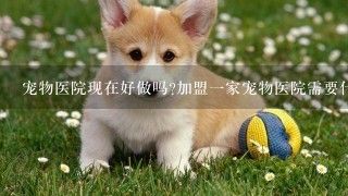 宠物医院现在好做吗?加盟一家宠物医院需要什么条件呢?