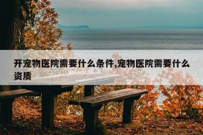 开宠物医院需要什么条件,宠物医院需要什么资质