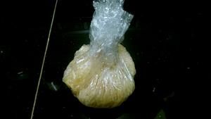 我的宠物Pou饭团的做法 步骤2