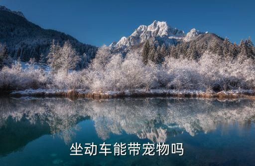 坐动车能带宠物吗