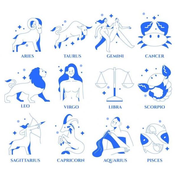 十二星座的专属宠物，12星座专属宠物萌图