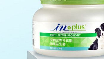 夏季守护宠物的肠胃健康
