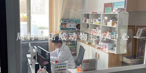 周村天香公园附近的良心宠物医院地址,宠物医院