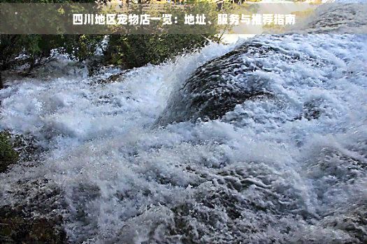 四川地区宠物店一览：地址、服务与推荐指南