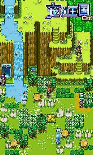 宠物王国4白金破解版 v1.0 安卓版 0