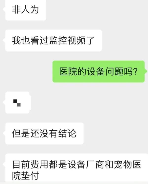 痛心！抢救近一个月，她还是走了......