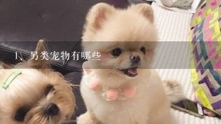 另类宠物有哪些