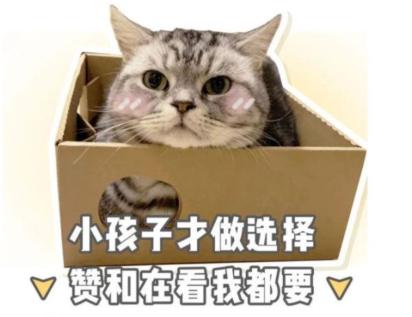 这 3 个另类宠物，你认识吗？