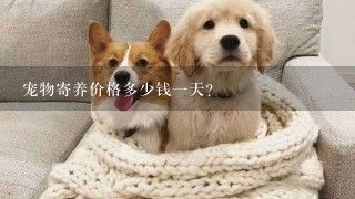 宠物寄养价格多少钱1天？