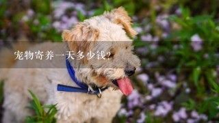 宠物寄养1天多少钱？