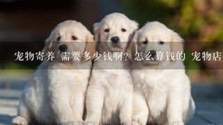 宠物寄养 需要多少钱啊？怎么算钱的 宠物店寄养吗