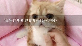 宠物店狗狗寄养多少钱1天啊?
