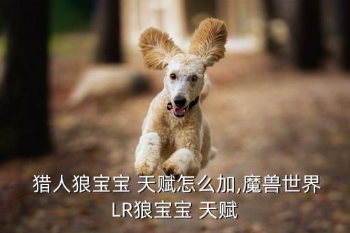  猎人狼宝宝 天赋怎么加,魔兽世界LR狼宝宝 天赋