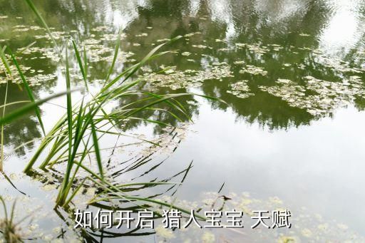 如何开启 猎人宝宝 天赋