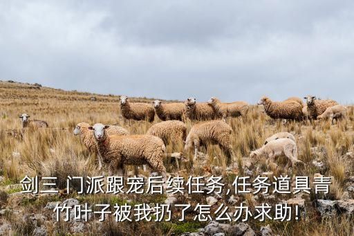 剑三 门派跟宠后续任务,任务道具青竹叶子被我扔了怎么办求助!