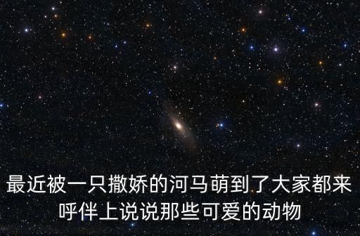最近被一只撒娇的河马萌到了大家都来呼伴上说说那些可爱的动物