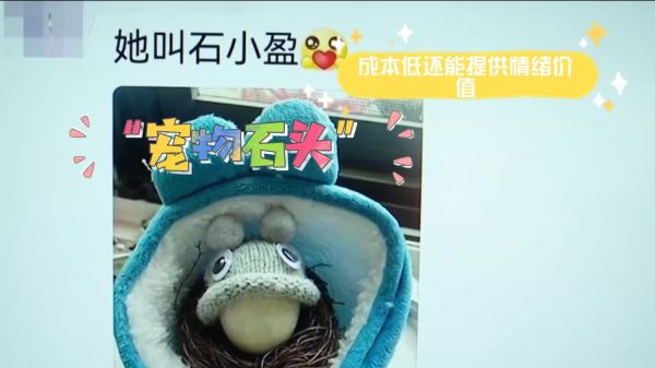 “宠物石头”悄然走红