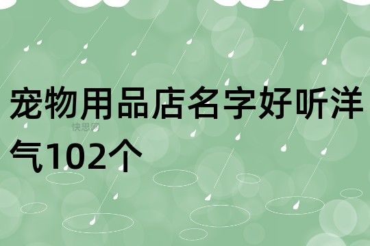 宠物用品店名字好听洋气102个