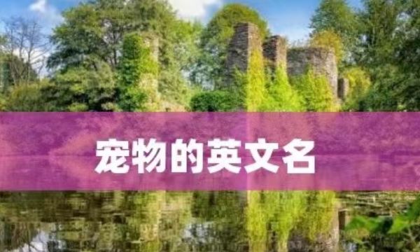 宠物简单英文名,宠物的英文名图1