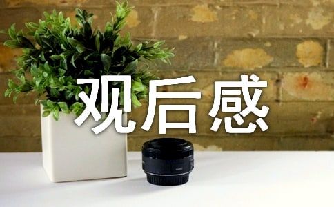《爱宠大机密》观后感