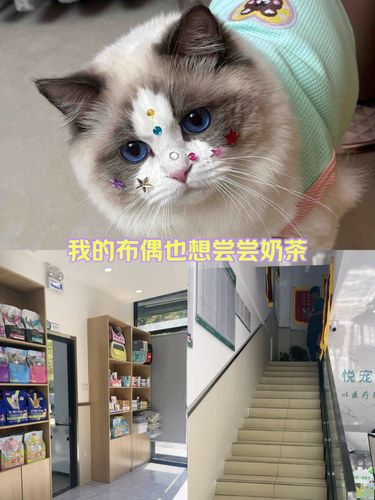 超级推荐，西安悦宠康动物医院。