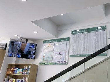 带着毛孩子体检的一天