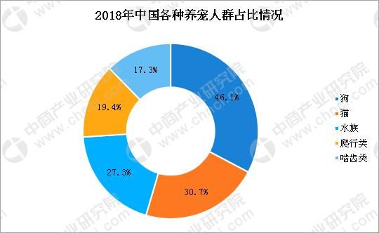 宠物食品企业“福贝”获近3亿融资 宠物行业市场现状及发展前景大解析