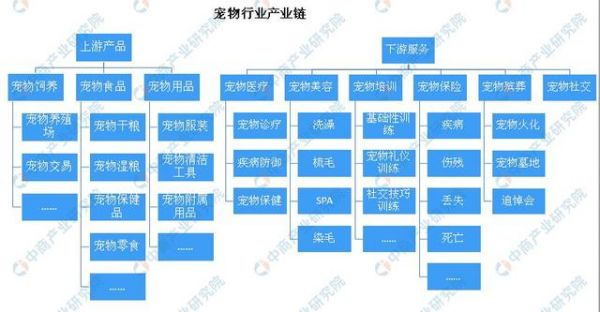 宠物食品企业“福贝”获近3亿融资 宠物行业市场现状及发展前景大解析