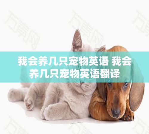 我会养几只宠物英语 我会养几只宠物英语翻译