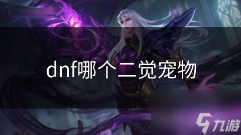 dnf哪个二觉宠物