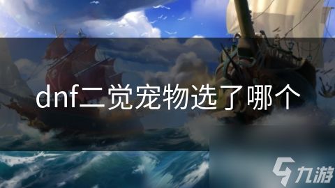 dnf二觉宠物选了哪个