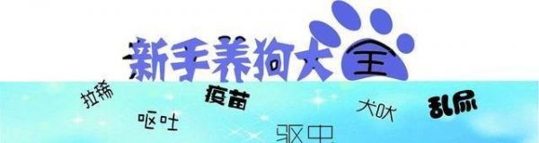 高考成绩已出，喜欢吸猫撸狗就可以报动物医学专业做个宠物医生？