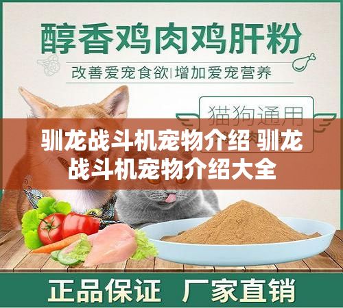 驯龙战斗机宠物介绍 驯龙战斗机宠物介绍大全