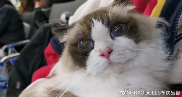 我们在俄罗斯转机，候机大厅