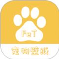 桌面宠物壁纸