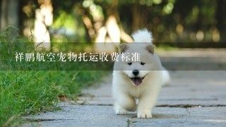 祥鹏航空宠物托运收费标准