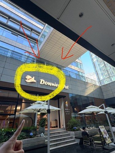 政务区新开的！超1000平宠物咖啡店