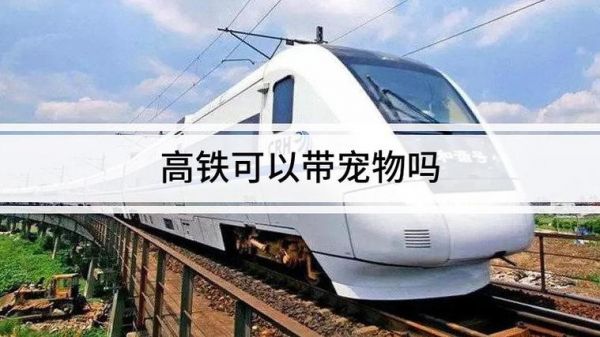 宠物能上动车吗?宠物能上动车吗现在!