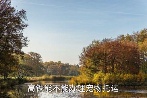 高铁宠物托运，乘坐高铁怎么托运宠物