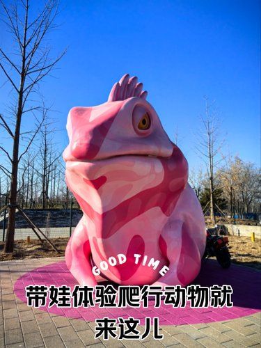 超惊喜的爬行动物探索之旅