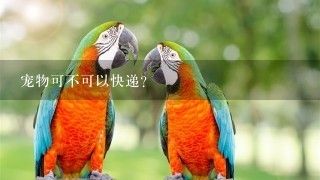 宠物可不可以快递？