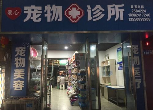 24宠物诊所,24小时宠物医院在线咨询