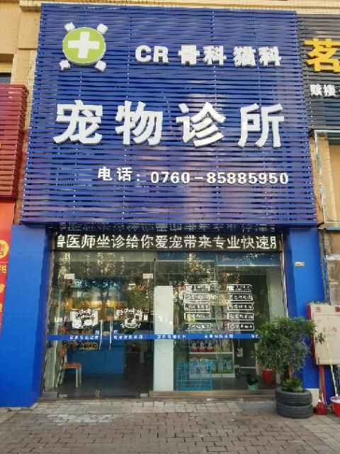宠物生病去兽医站还是去宠物医院,宠物看病去畜牧站又好又便宜?