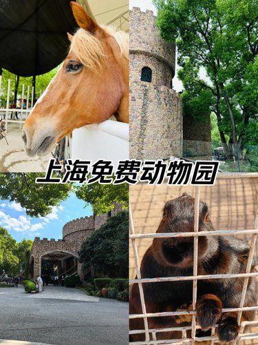 免费动物园+免费停车