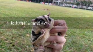 吉邦宠物托运靠谱吗？