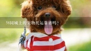 58同城上的宠物托运靠谱吗？
